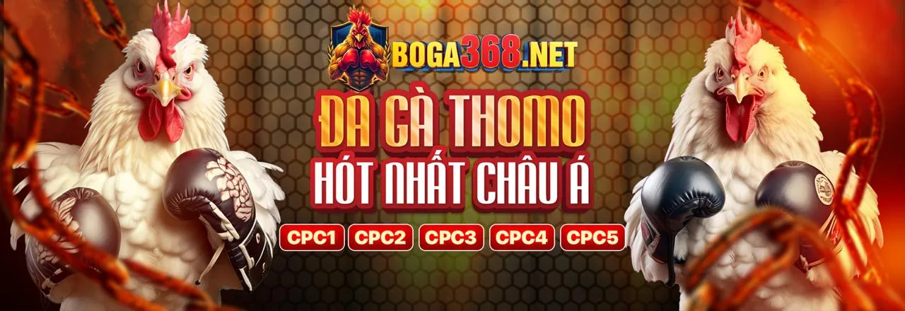 Hoàn trả hàng ngày cá cược thể thao sv666